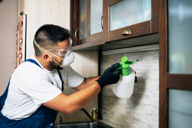 Best Wasp Removal Services  in Mulgee, OK