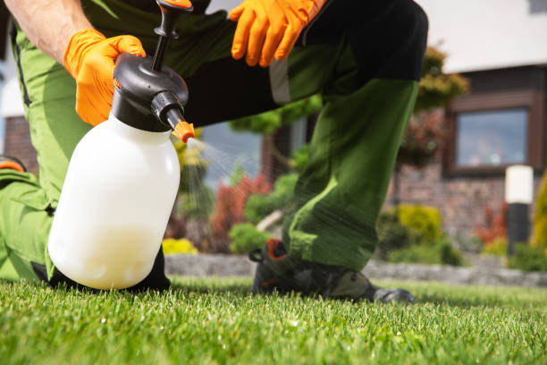 Best Local Pest Control Services  in Mulgee, OK