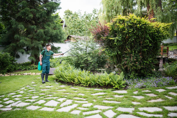 Best Mosquito Control Services  in Mulgee, OK