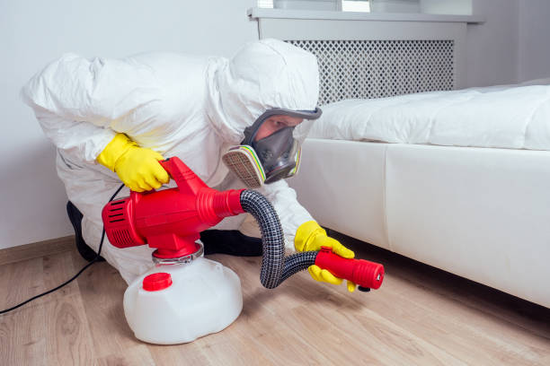 Best Cockroach Control Services  in Mulgee, OK