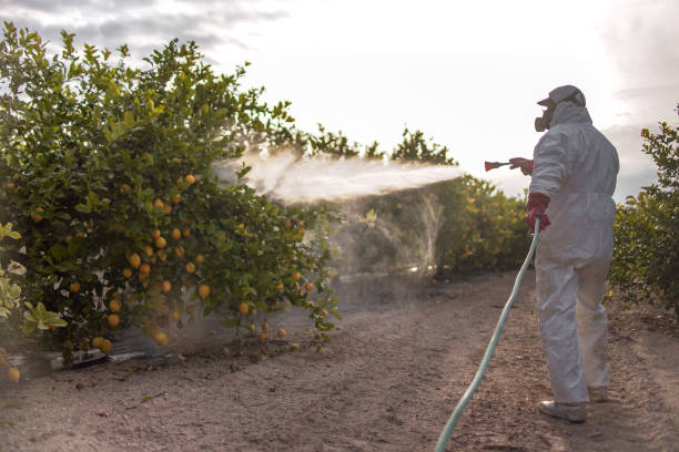 Best Affordable Pest Control Services  in Mulgee, OK