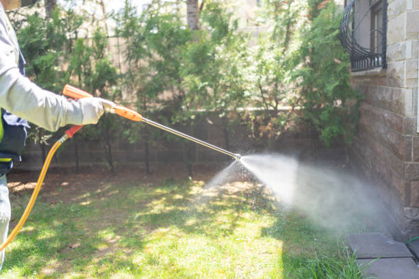 Best Pest Prevention Services  in Mulgee, OK