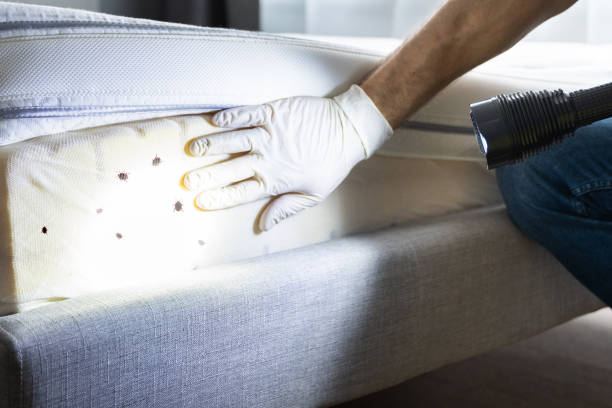Best Pest Inspection Near Me  in Mulgee, OK
