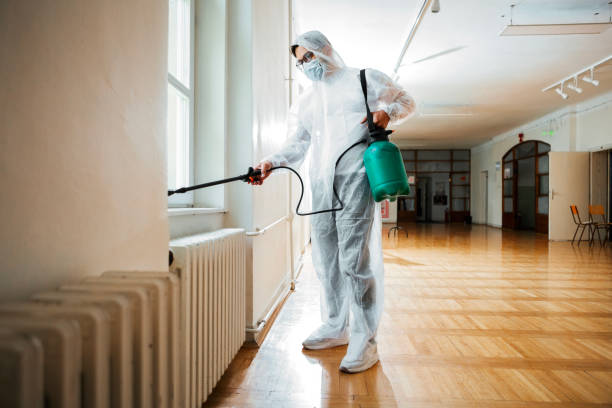 Trusted Okmulgee, OK Pest Control Experts