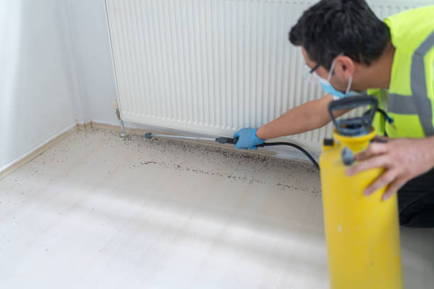 Best Pest Control Near Me  in Mulgee, OK